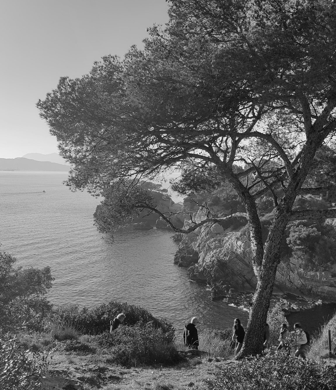 Aménagement territorial durable et paysage urbain par Teralia Conseils