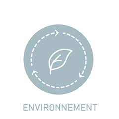 Icône illustrant les domaines d’expertise de Teralia Conseils en ingénierie territoriale, urbanisme et développement durable